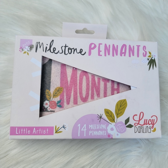 2/$20 Little Artist Milestone Pennants - Picture 3 of 15